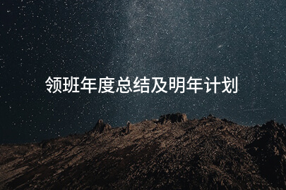 明年计划年度总结